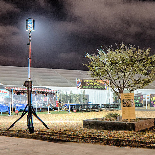 Nomad Transformer Scene Light (200-1200)