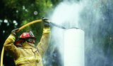 Task Force Tips (A3830 Chimney Snuffer)